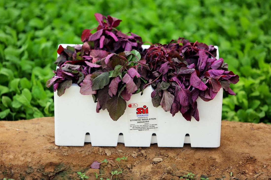 Styrene vegetable box